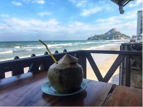 2022年 出境游曙光初現，國內旅游迎來新機遇