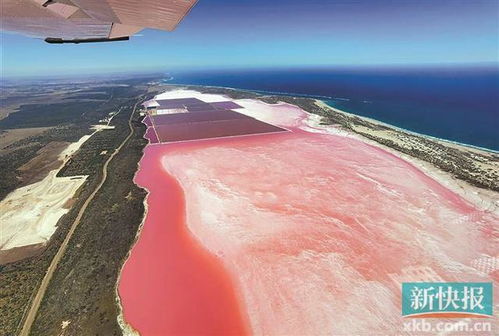出境旅行的序章 國內熱門打卡地盤點